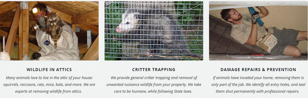 Keizer Oregon Pest Wildlife Removal, Animal Trapping and Control